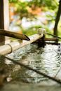 Brown Wooden Stick on Water