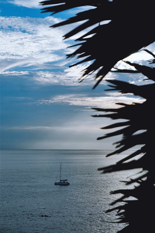 돛단배, 바다, 바다 경치의 무료 스톡 사진