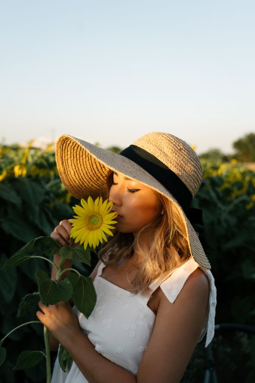 Free A woman in a straw sun hat smells a sunflower in a sunlit field, creating a serene summer scene. Stock Photo