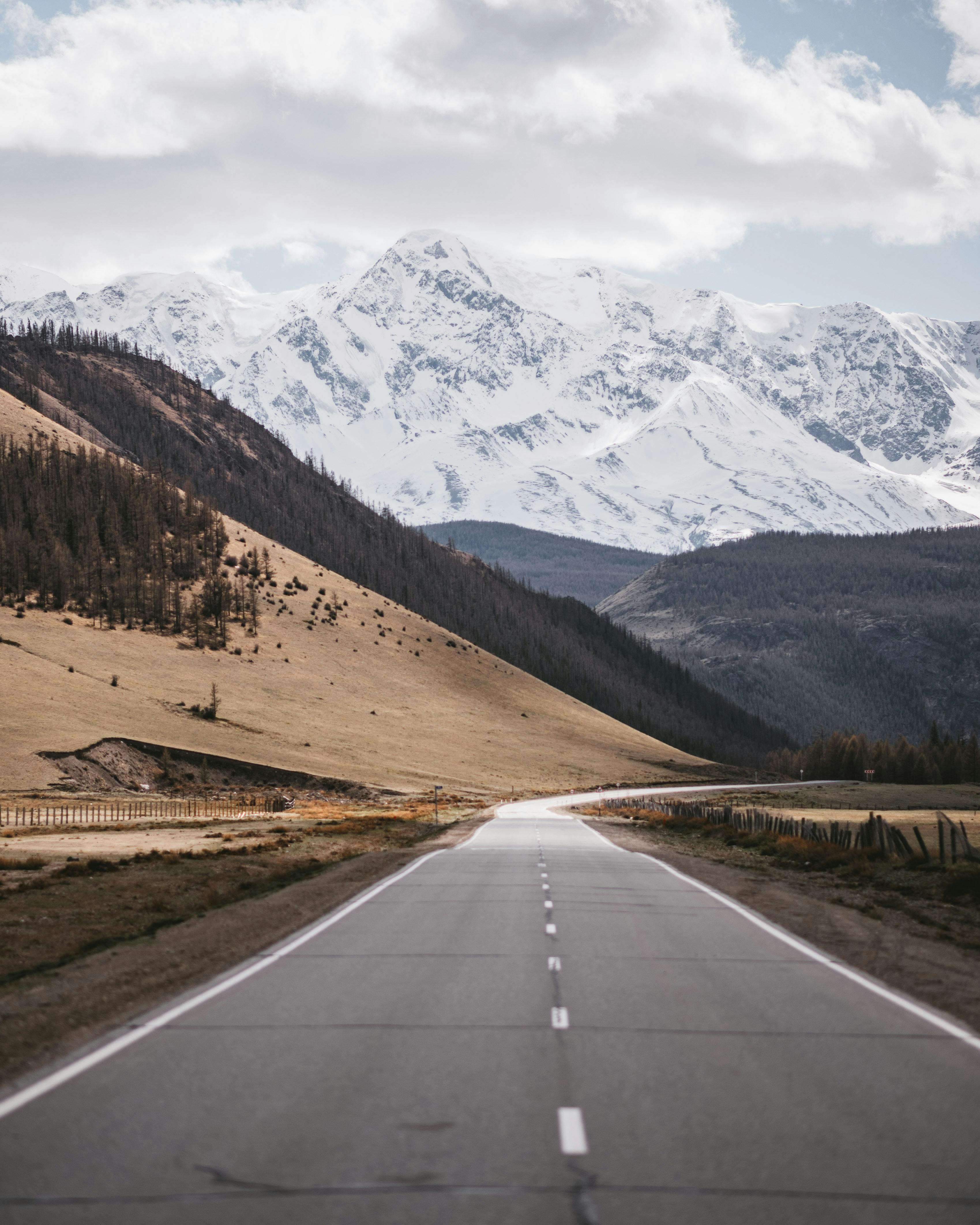 empty road against mounts with snow and coniferous trees