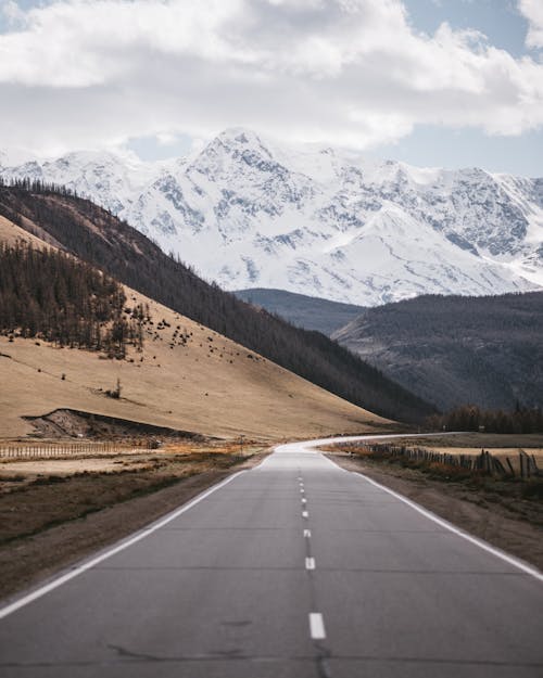 Empty road against mounts with snow and coniferous trees