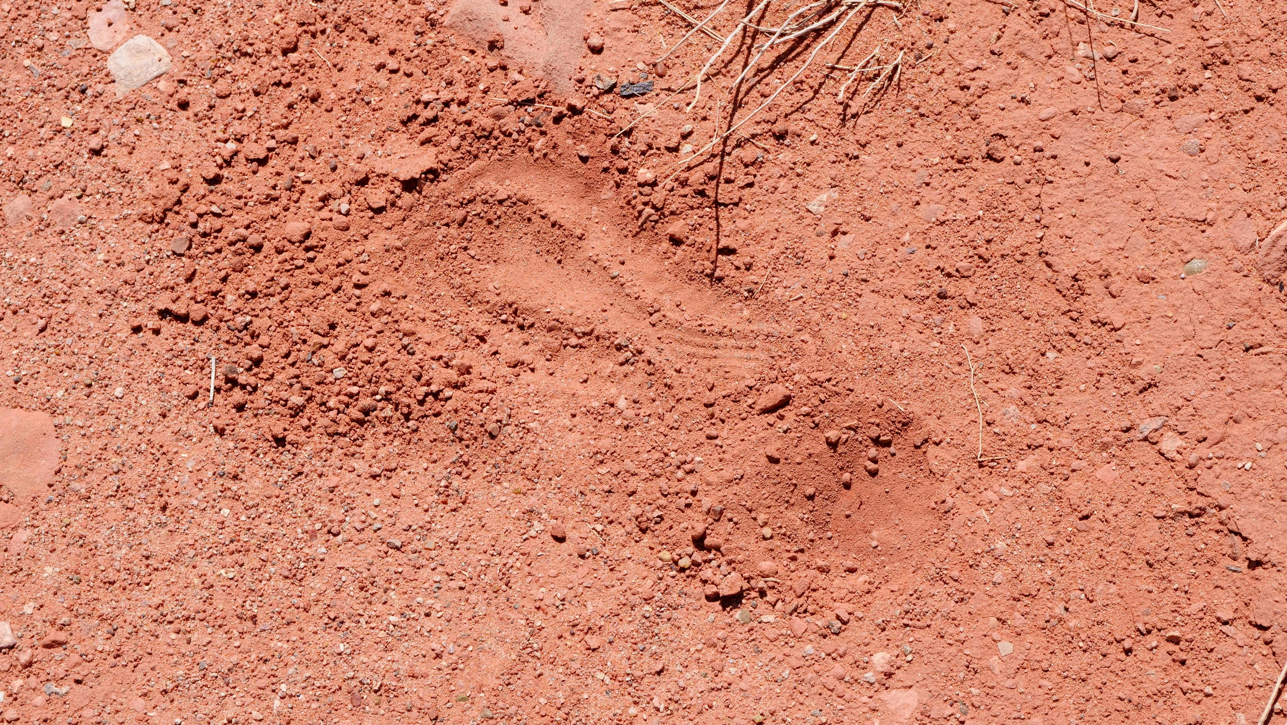 close up photo of dry soil