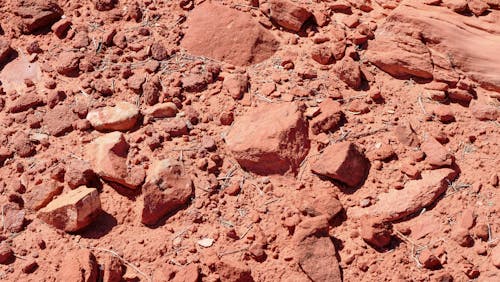 Free Brown Rocks and Stones on Brown Earth Surface Stock Photo