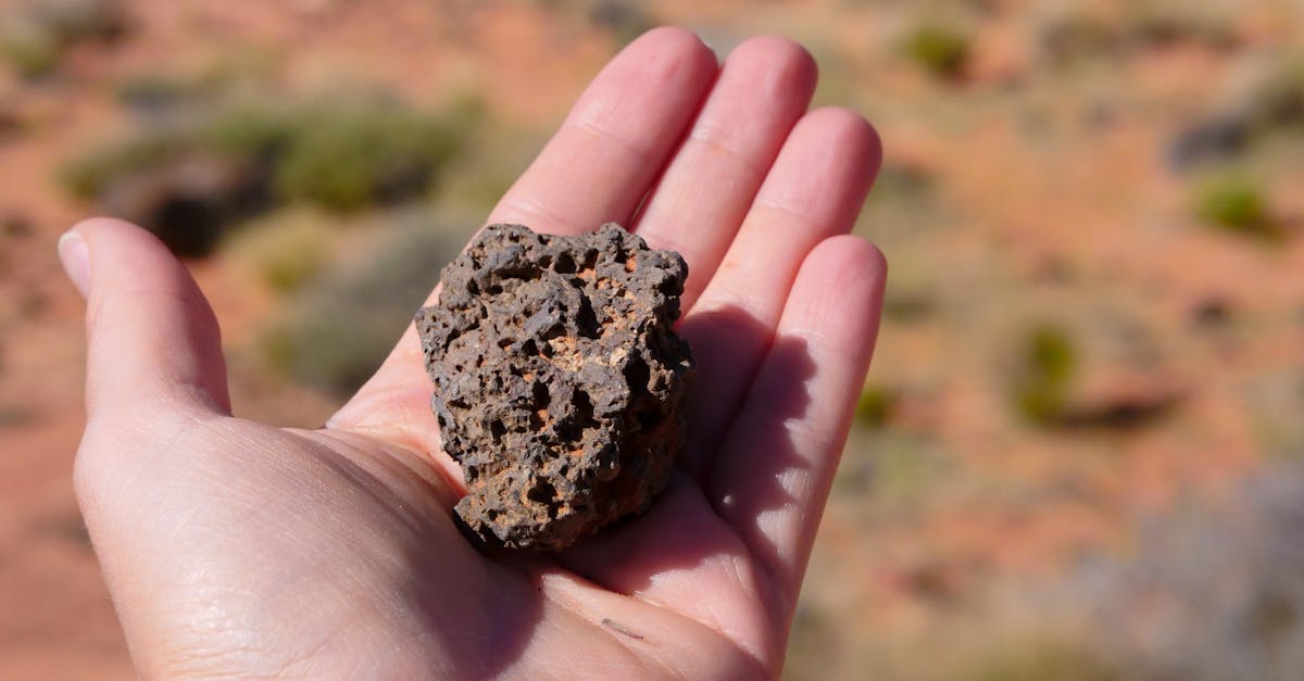 Dustfall 1 image text