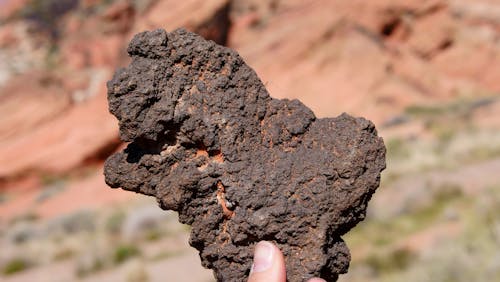 Free Close-Up Shot of a Person Holding a Rock Stock Photo
