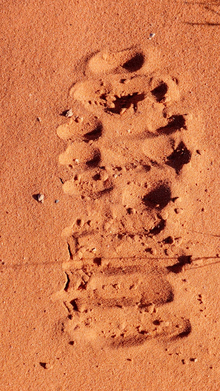 A Shoe Mark On Brown Sand