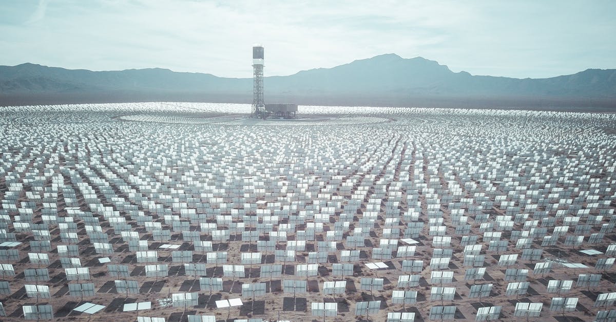 Echo Bloom 1 image text