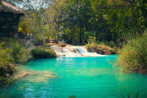 Kostenloses Stock Foto zu seewasser