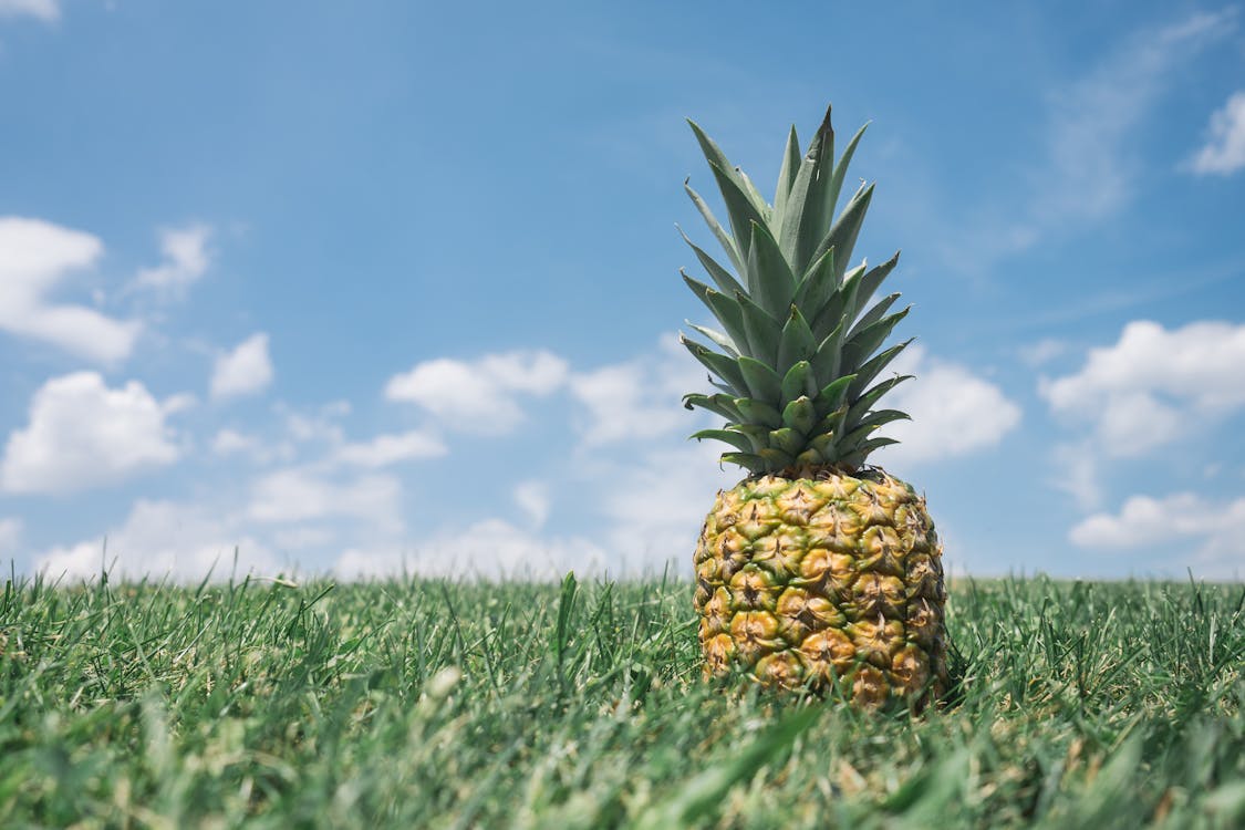Close-up Photography of Pineapple on Grass