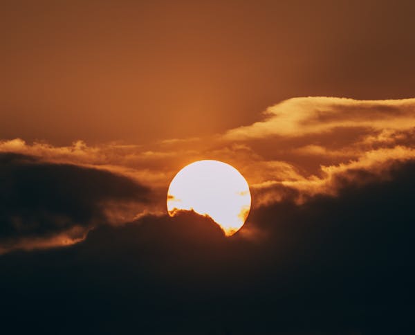 Children in comfortable PE shorts