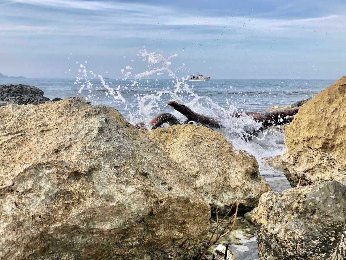 A string quartet performing in an ornate room, evoking Bridgerton’s pop-song orchestral covers