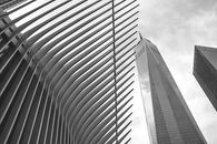 Grayscale Photo of High Rise Building