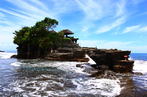 緑の木々の写真と茶色の島