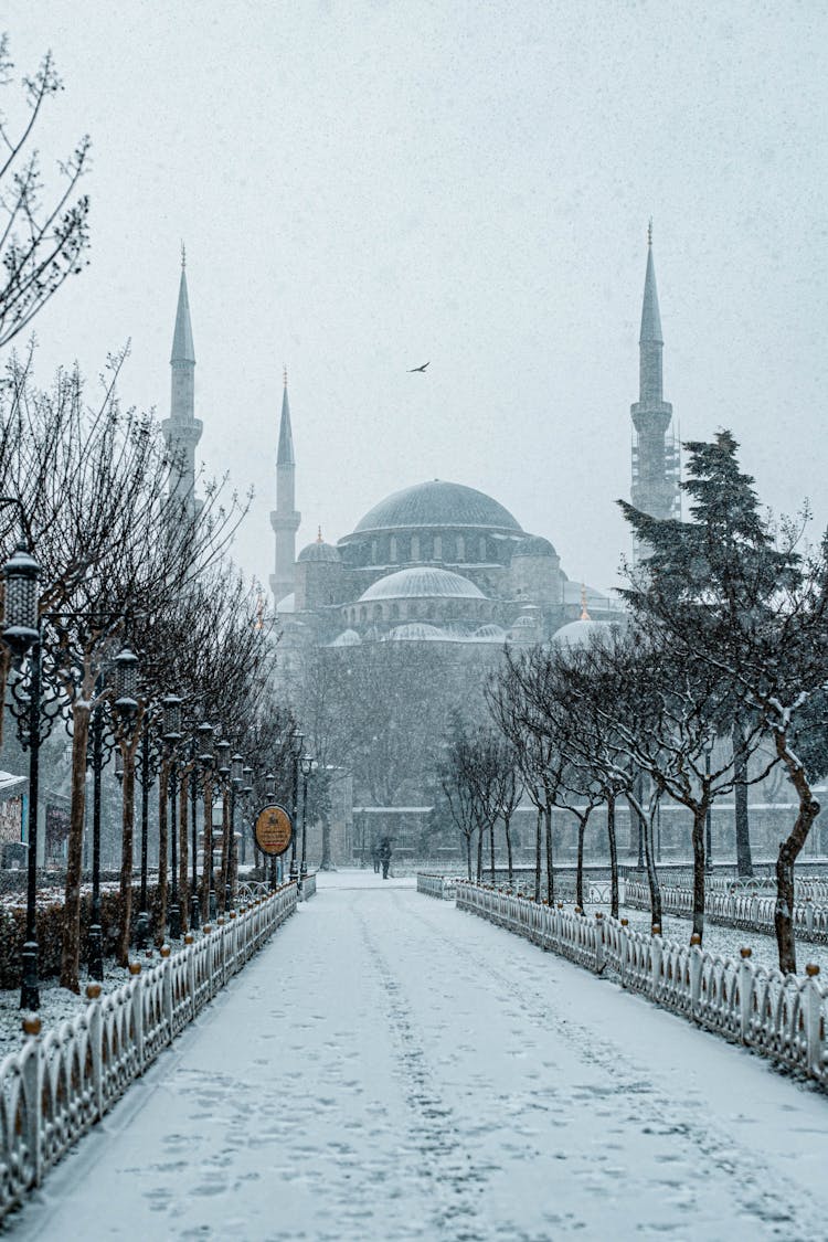 Snow Covered Walkway Towards A Mosque