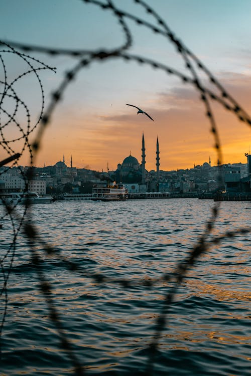 akşam karanlığı, çit, deniz kenarı içeren Ücretsiz stok fotoğraf