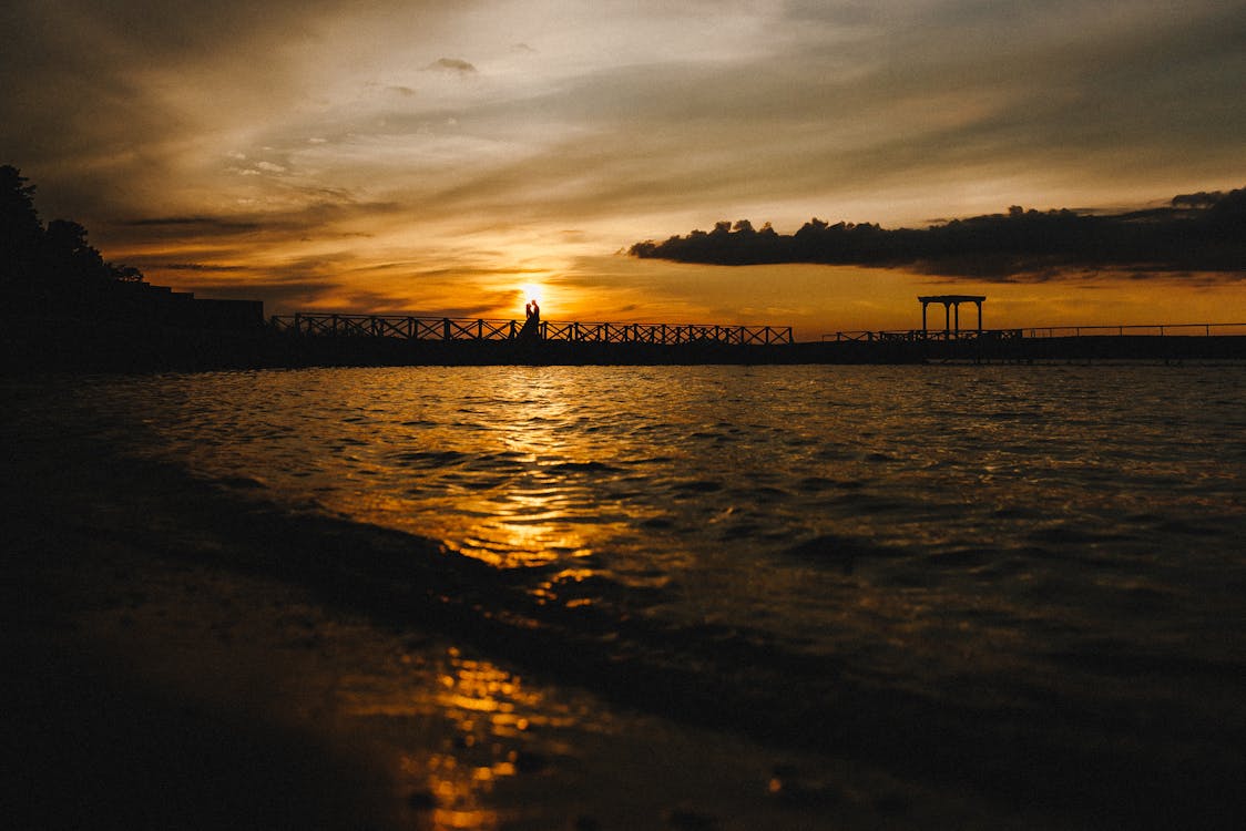 Silhouette of People on Beach during Sunset