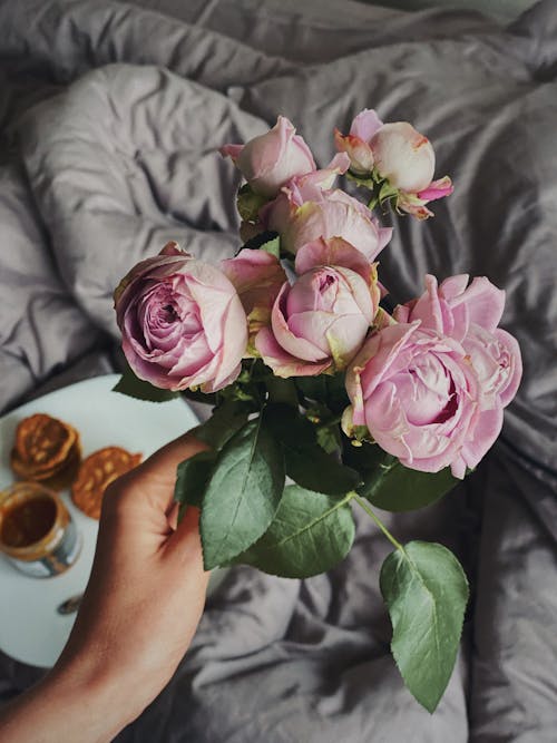 From above of crop anonymous person showing gentle pink roses in blossom near blanket with tasty dessert for breakfast