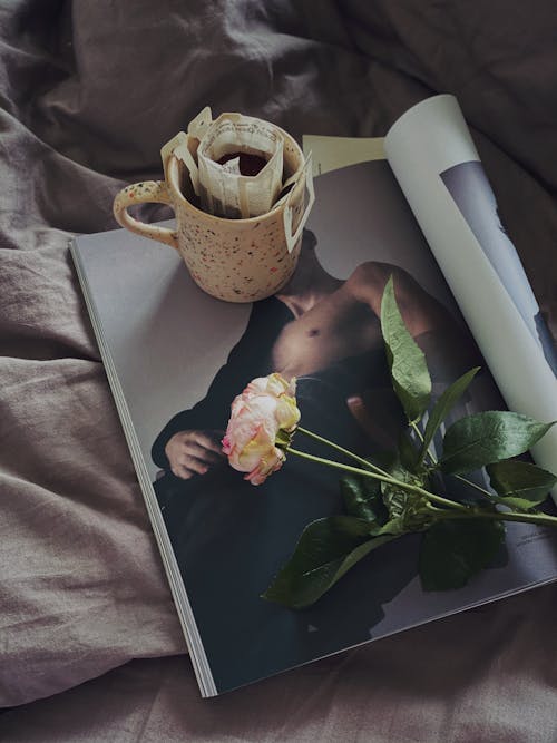 Cup of tea and fresh roses placed on modern magazine