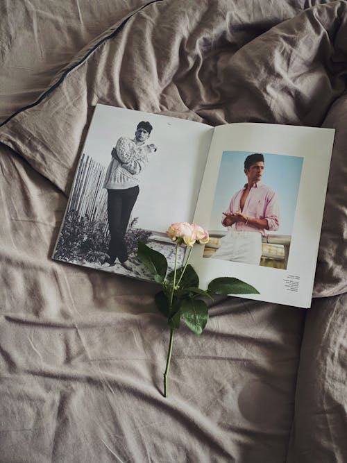 Free From above of fresh delicate rose with gentle petals and green leaves and opened magazine with photos of male models placed on soft bed Stock Photo