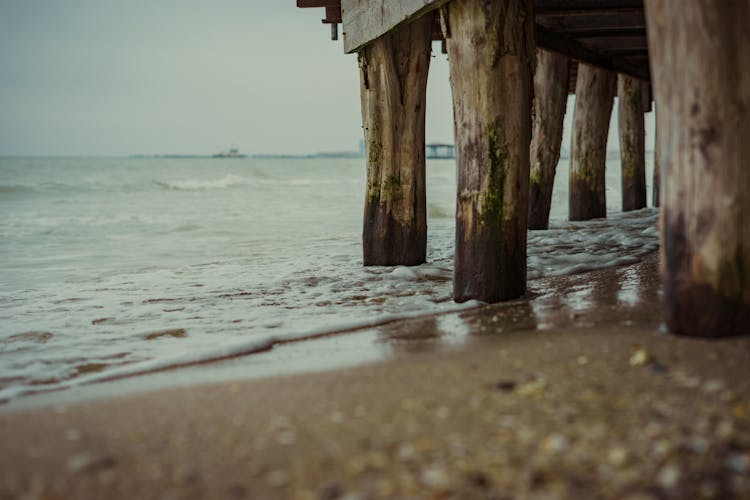 Brown Wooden Posts Of A Dock On Sea