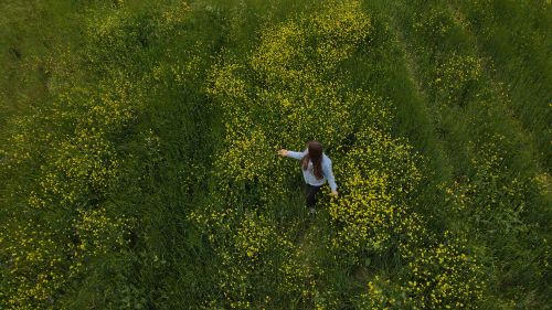 Free Drone captures a woman in a flowering field, Calabria, Italy. Stock Photo