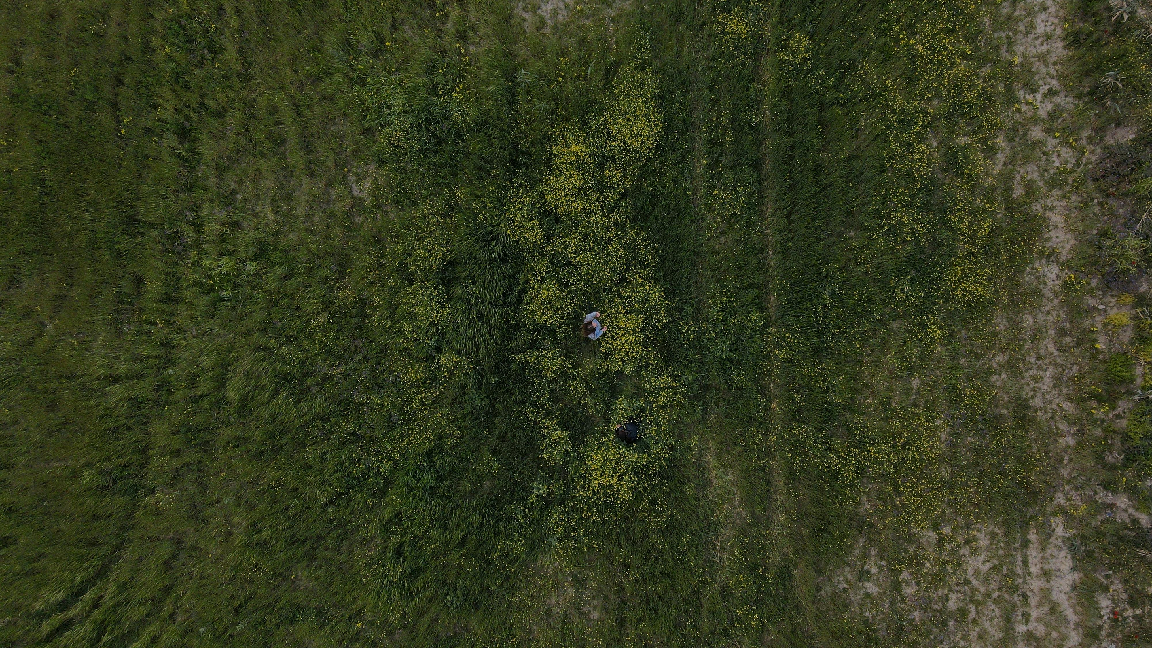 Gratuit Imagine de stoc gratuită din activități agricole, agricultură, biodiversitatea Fotografie de stoc