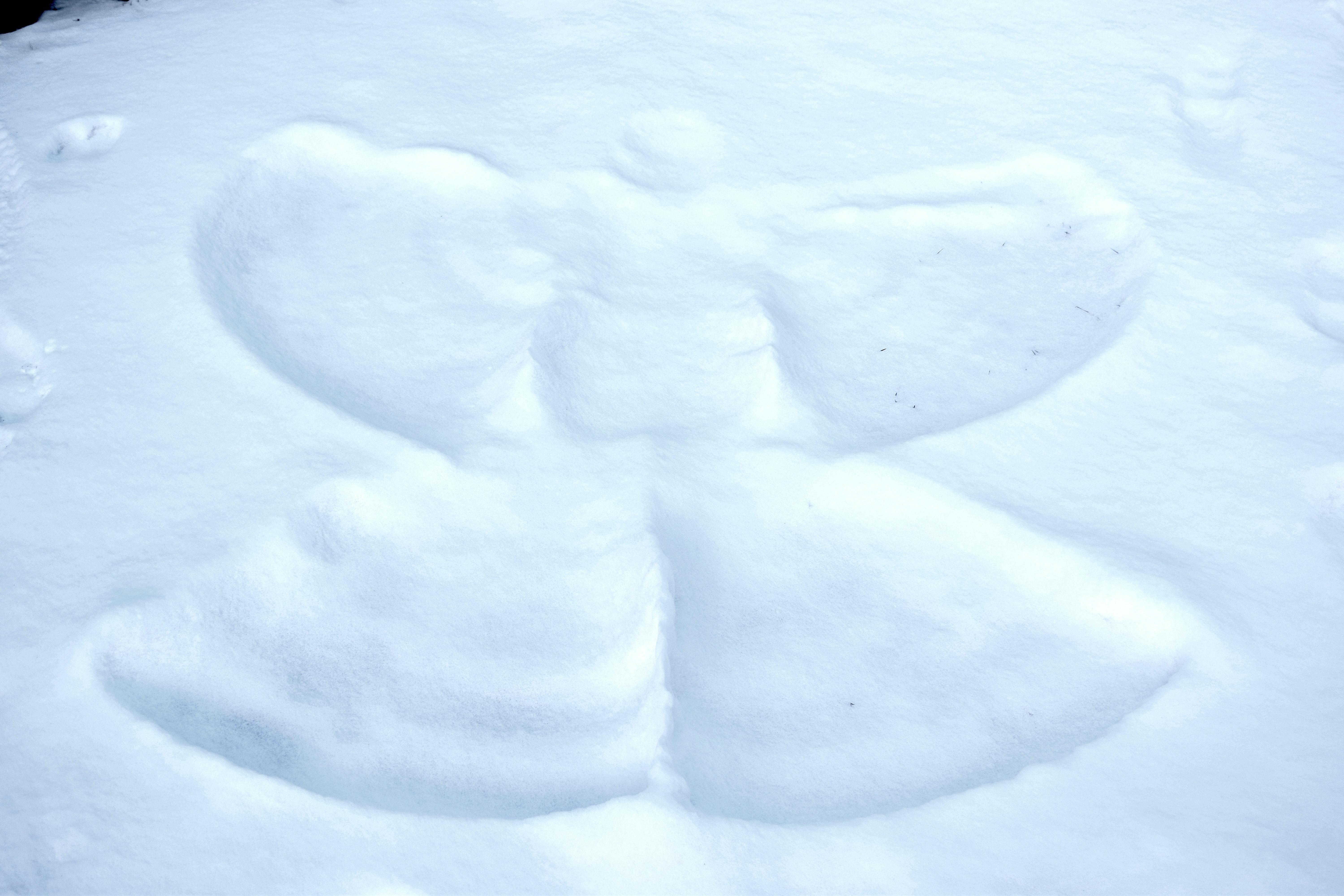 Free Stock Photo Of Angel Snow Snow Angel