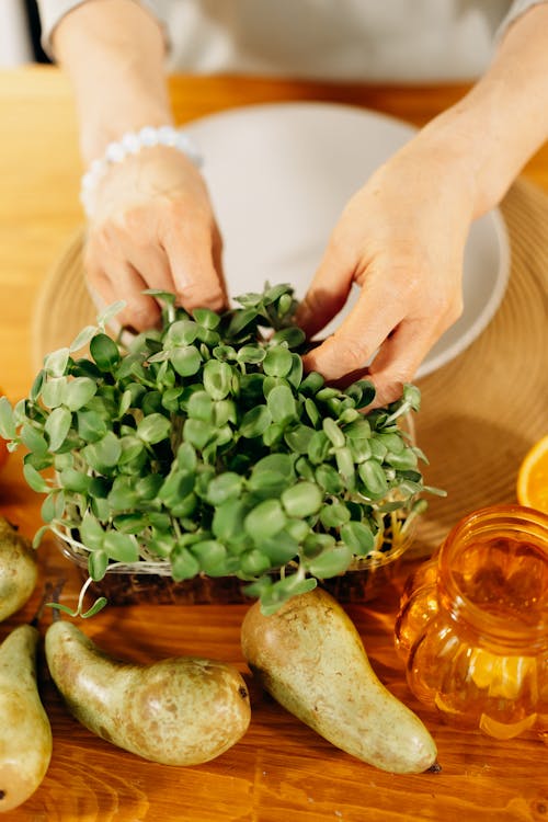 Green Vegetable on White Ceramic Plate