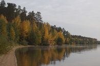 A Tranquil Lake Near the Forest