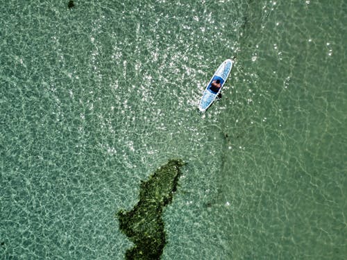paddleboarding, 人, 俯視圖 的 免費圖庫相片