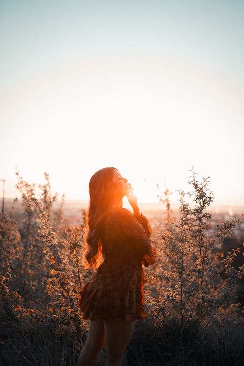Free Gentle woman standing in nature in sunlight Stock Photo