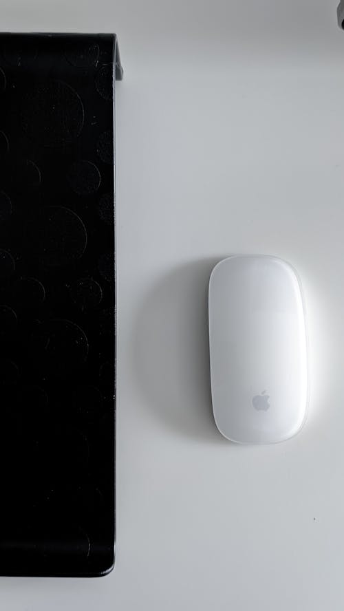 Photograph of a White Mouse on a White Surface