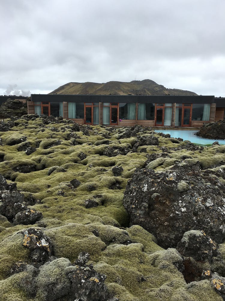 Moss-covered Volcanic Rocks With Bungalows In The Background