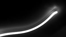 Abstract neon light on dark background