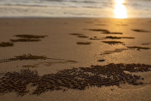 Sunlight over Sand on Beach