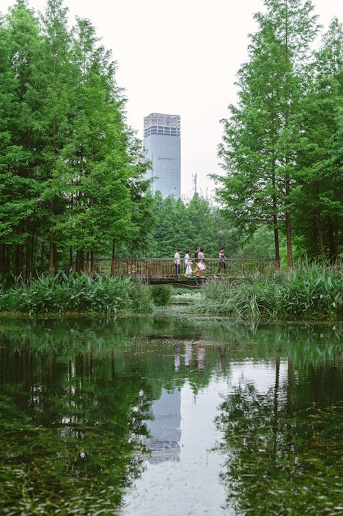 People Walking on the Walk Bridge at a Park