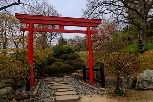 Free Peaceful Japanese garden entrance with a red Torii gate surrounded by lush greenery and blossoming trees. Stock Photo