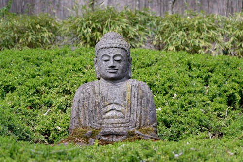 Foto stok gratis agama, Agama Buddha, batu