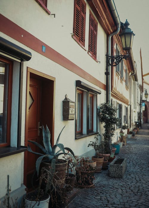 Potted plants placed near door of typical residential building in alley with paved street