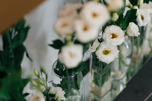 A Row of White Flowers Inside the Glass Vases 