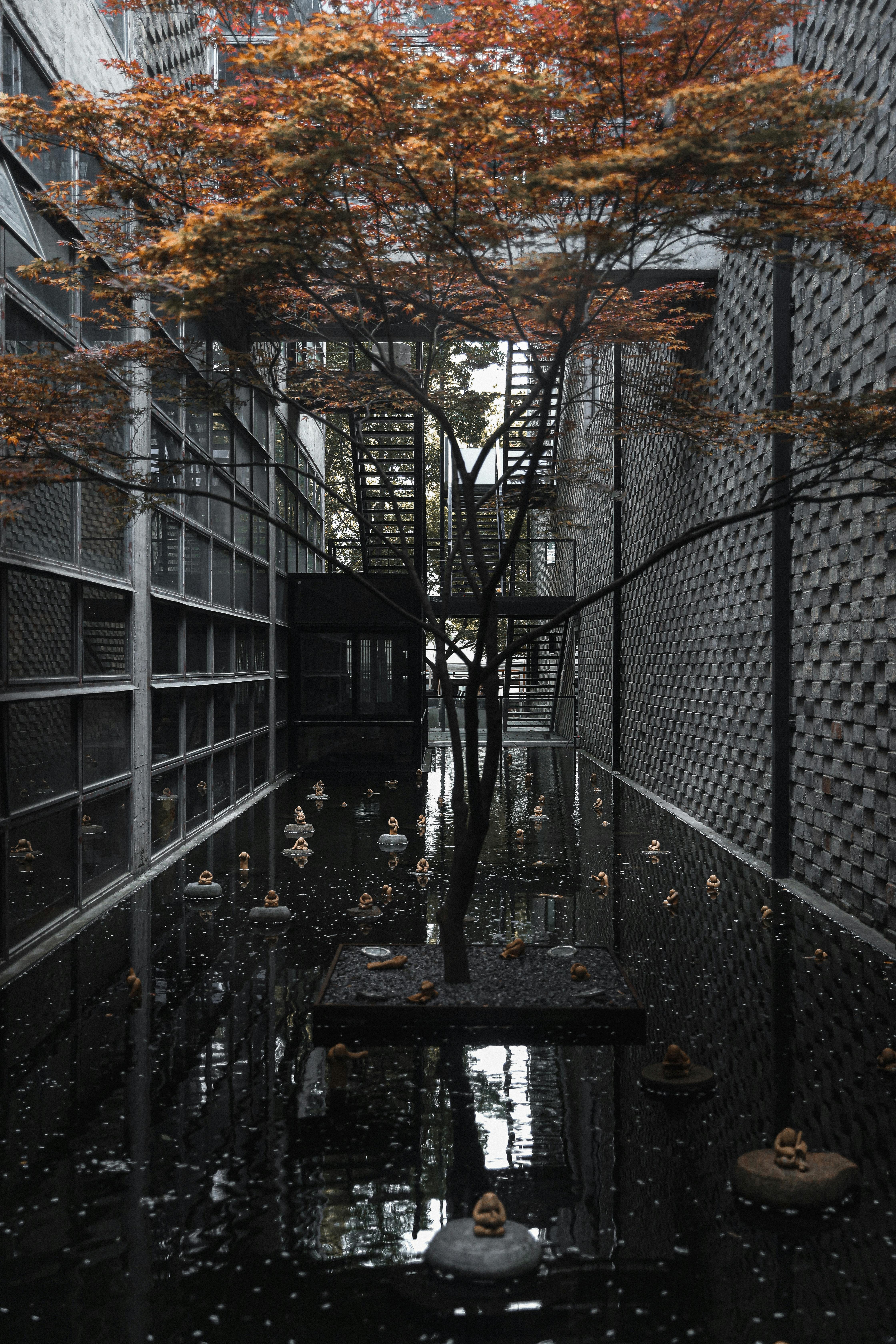 A serene courtyard featuring a tree with autumn leaves over a reflective pool, surrounded by modern metal architecture.