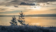 冬日宁静的日落映照在平静的海面上，海岸边的树木覆盖着白雪，凸显出大自然的和平对比