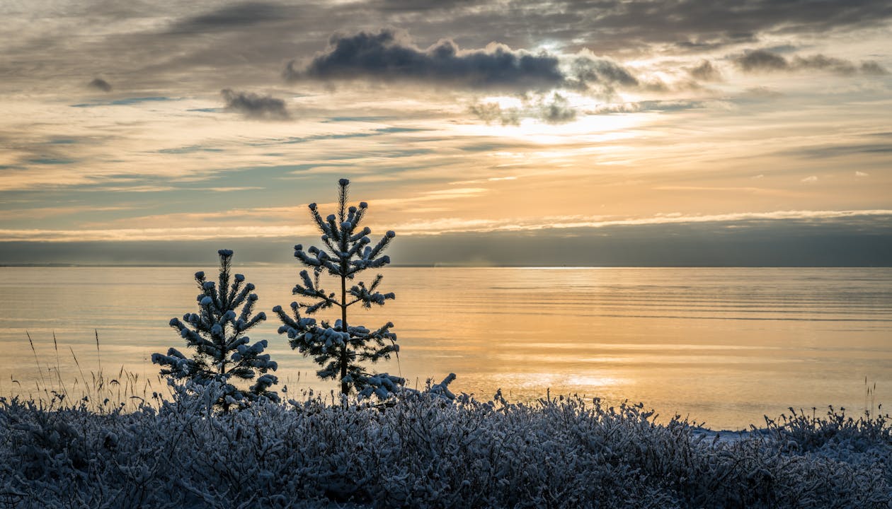 Lake View during Sunset Photo