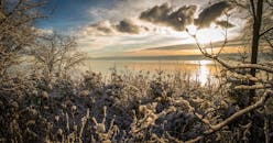 日落时分，阳光映照在宁静的雪景、水面和霜冻的树木上