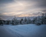 在戏剧性的暮光天空下，宁静的冬日场景中，白雪覆盖的小路两旁排列着常绿树木