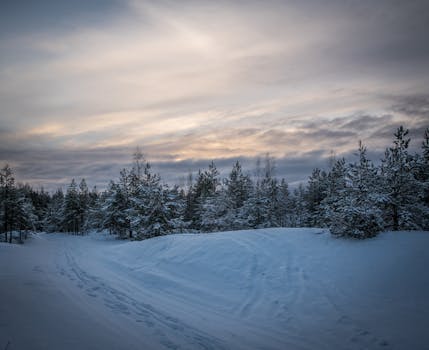 在戏剧性的暮光天空下，宁静的冬日场景中，白雪覆盖的小路两旁排列着常绿树木