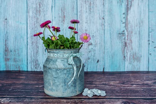 Foto d'estoc gratuïta de composició, de fusta, flors