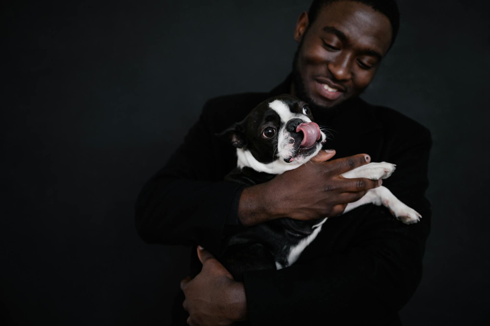 Boston Terrier in arms of black man