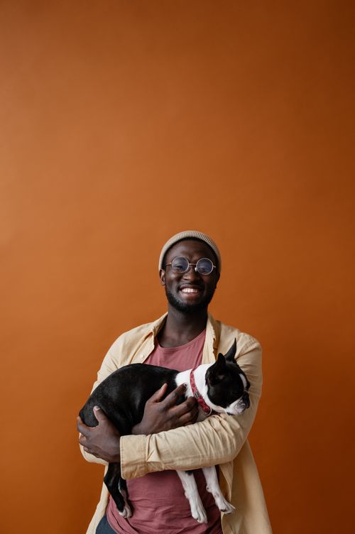 Free Positive African American male hipster in spectacles wearing yellow shirt over pink t shirt and light beanie holding black and white Boston Terrier with both arms while smiling brightly and looking at camera Stock Photo