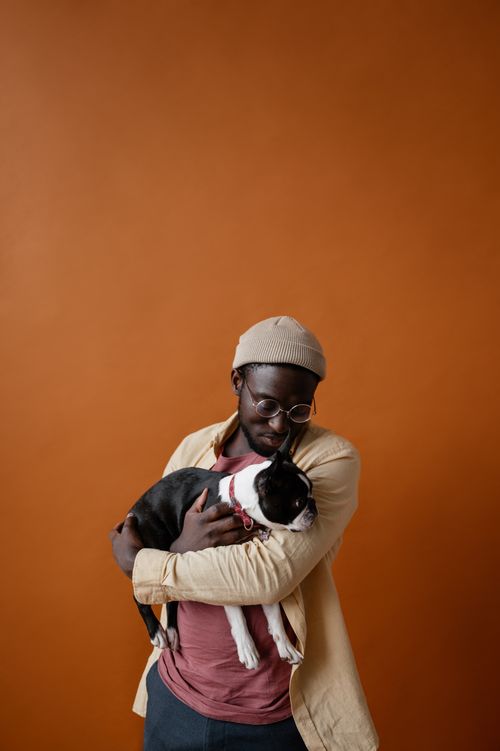 Free Stylish African American male in trendy outfit and hat with glasses holding Boston terrier in hands against orange background Stock Photo